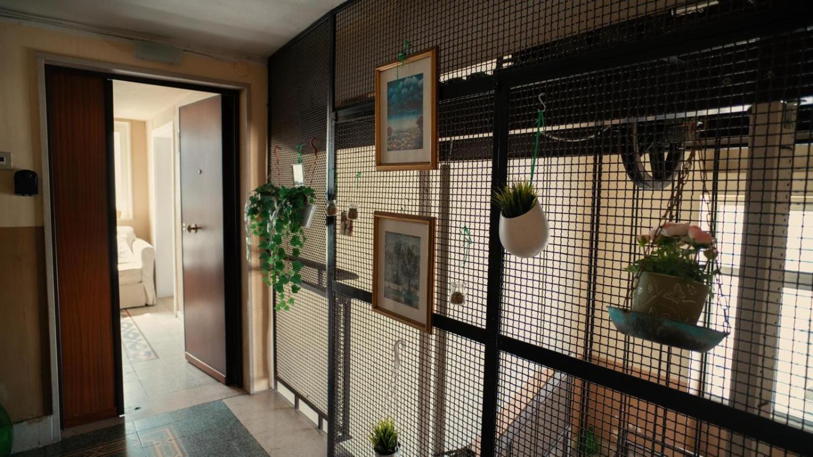 Casa Di Joe Villa Bari Exterior photo